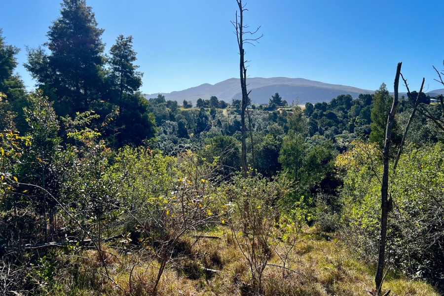  Bedroom Property for Sale in Wilderness Heights Western Cape
